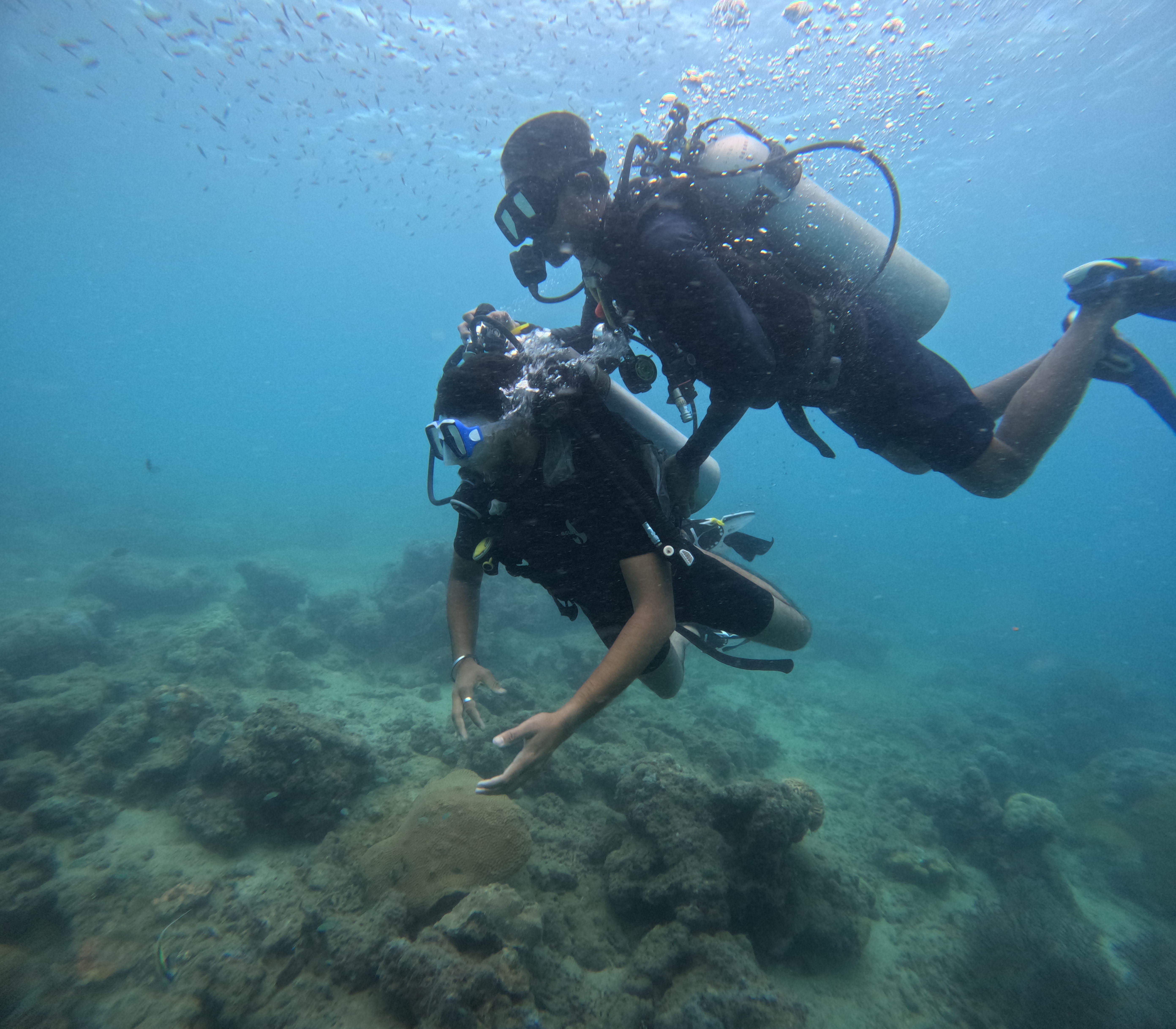 Scuba Diving 1