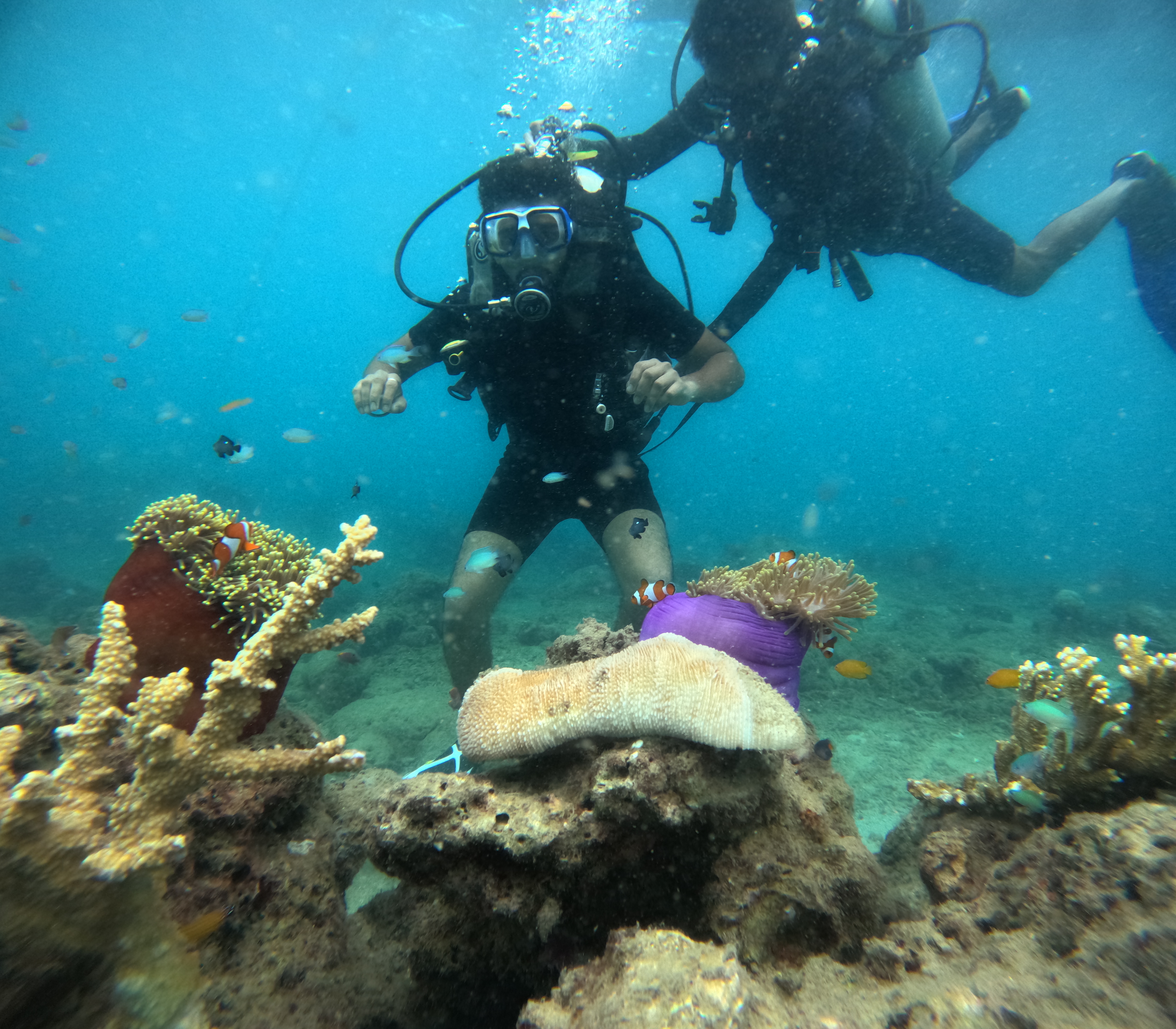 Scuba Diving 1