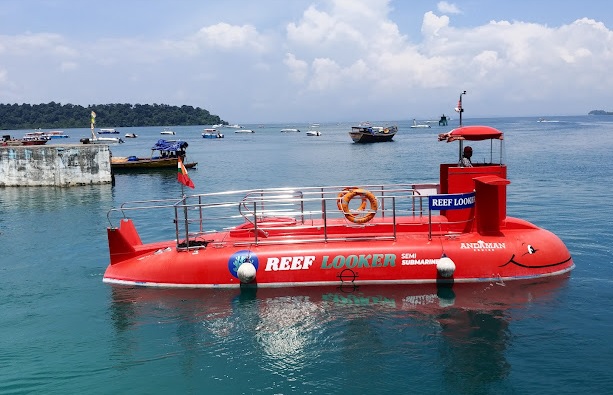 Reef Looker 1
